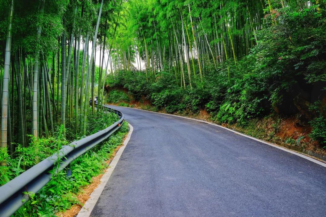 颜值爆表！这两条路入选杭州“十佳”！更多美景就在你身边~