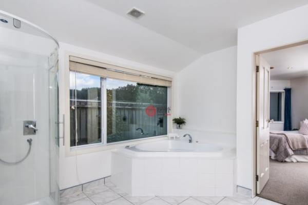 办理新加坡工作签证多少钱,新加坡国立大学签证怎么办理