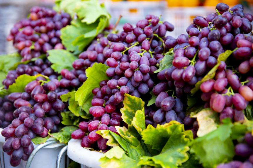 冬天感受阳光的味道,冬天到凉山