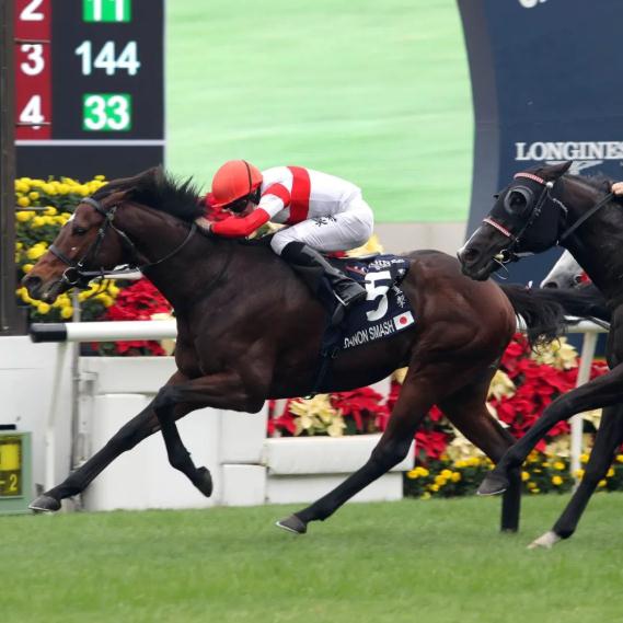 楠戝笀鑾泤,缁濅笘濂藉伐