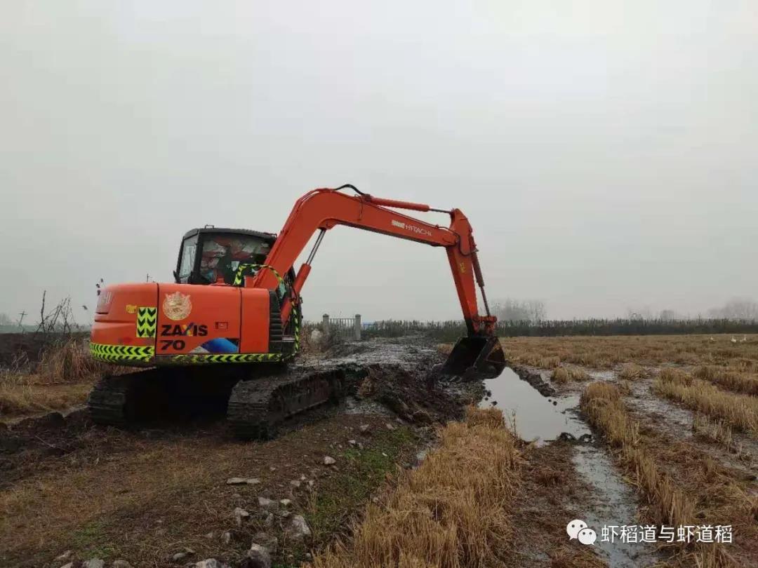 稻虾养殖一亩田的收益,90后致富带头人稻虾养殖