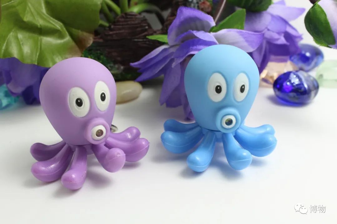 章鱼嘟嘴是真的吗,章鱼嘟嘟嘟