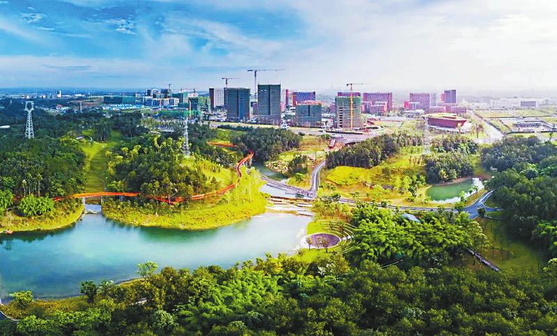 从城市打工人到乡村新农人,从打工人到创业人需要升级的思维