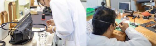 边界无限经典新生｜品真阁年度高端精品展圆满落幕