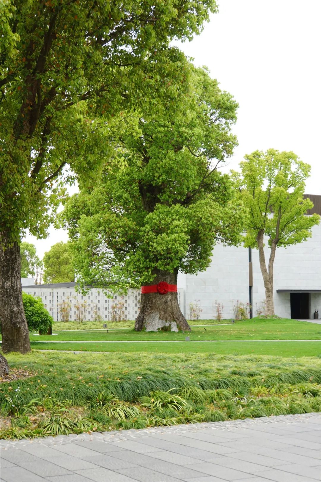 2018年度最佳酒店 (今年最值得去的酒店排名)