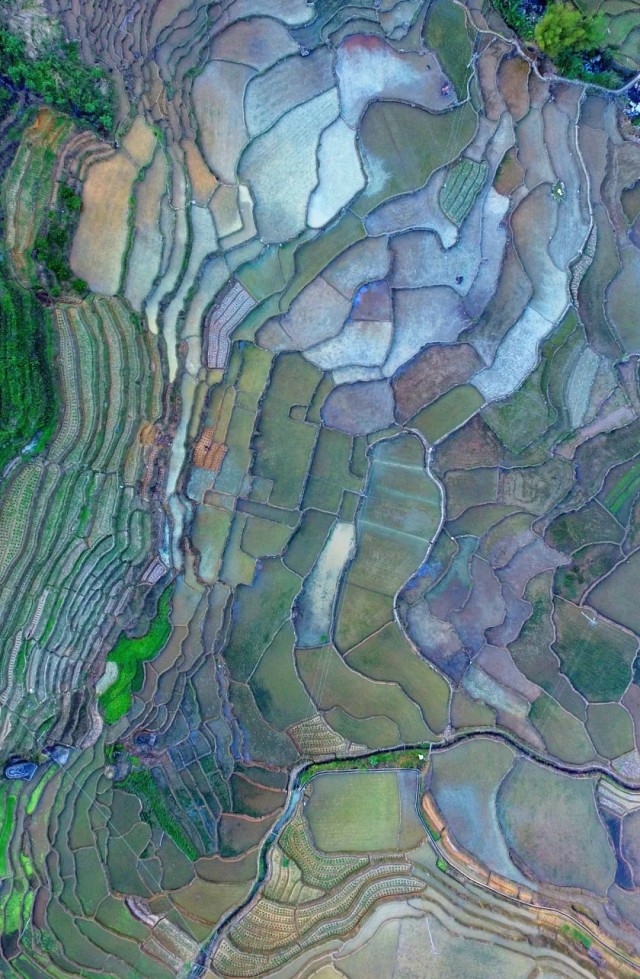 卫星告诉你为什么三明是宝藏城市,三明市卫星