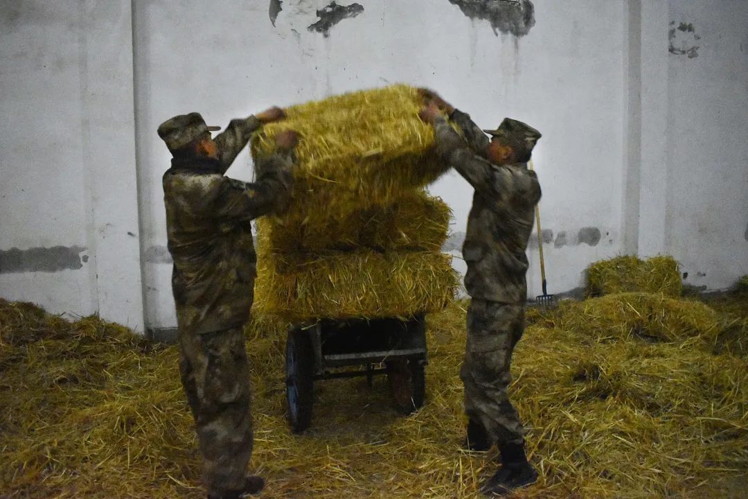 兵哥哥骑马帅气,兵哥哥骑马最有霸气
