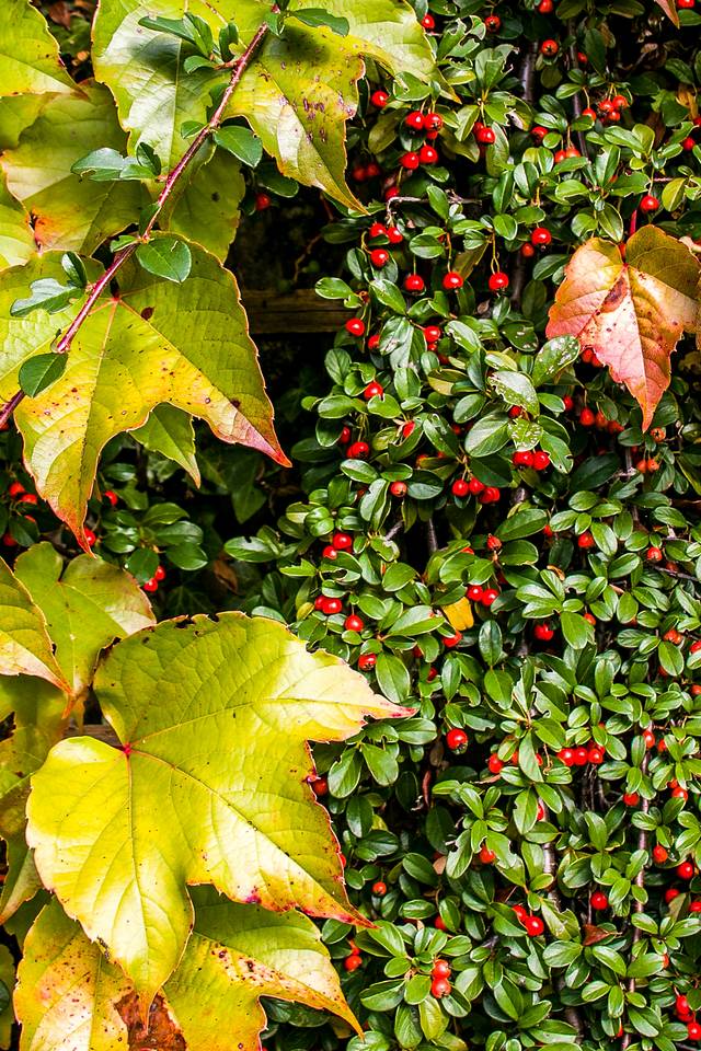 2018中秋国庆出行,2019年中秋国庆西藏行