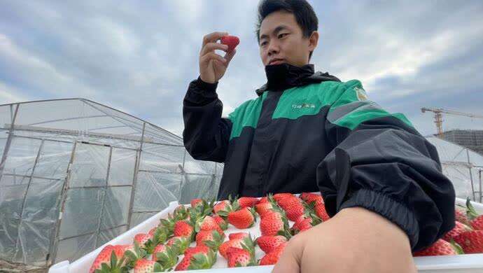 “怎样让我买到的草莓，和网上看到的照片一样？”买手揭秘生鲜电商背后的门道