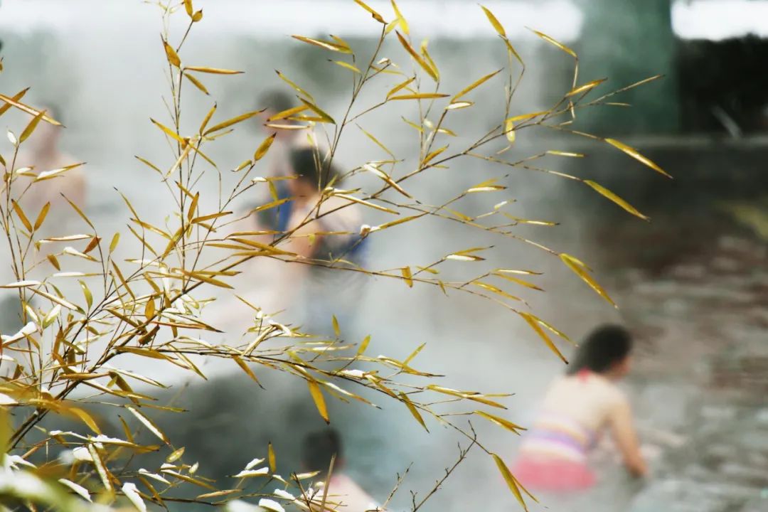 凤翔温泉免费时段,凤翔温泉99套票截止时间