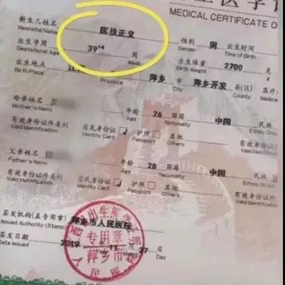 小二娃叫啥名字,你家娃都叫什么名字