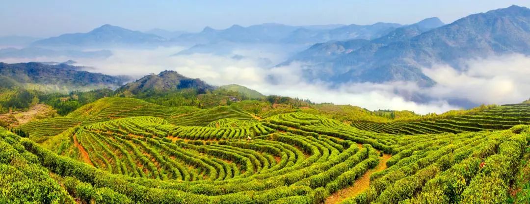 脱贫攻坚奔小康高质量发展谱新篇,脱贫攻坚交出靓丽答卷