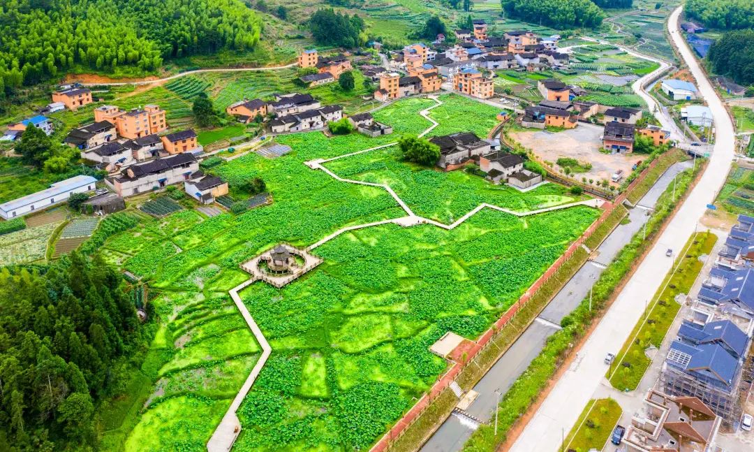 脱贫攻坚奔小康高质量发展谱新篇,脱贫攻坚交出靓丽答卷