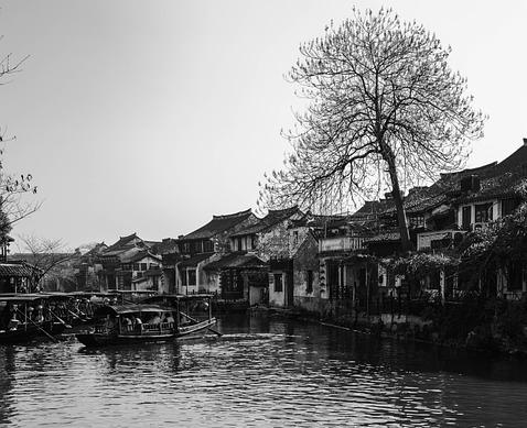 李煜晖丨从语文教学的角度欣赏《好的故事》