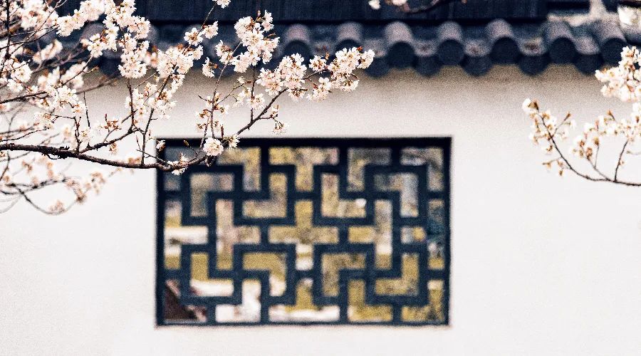 夜读丨看窗外的電影