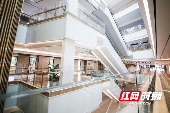 复盘爆红的草莓医院，究竟是“实力派”还是“偶像派”？