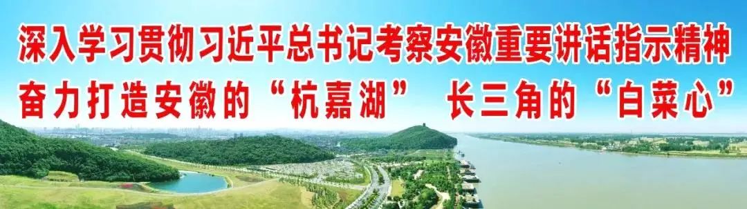 十七冶马鞍山招聘岗位及条件,马鞍山十七冶医院2024校园招聘