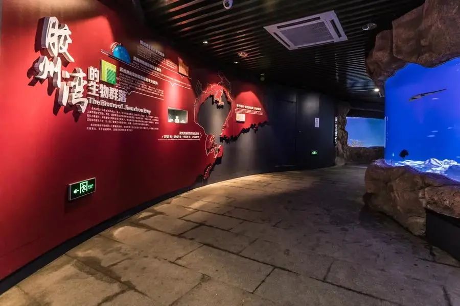 嗨游青岛享悦冬季|美妙的科创海洋之旅，解锁冬日遛娃新玩法！（文末福利）