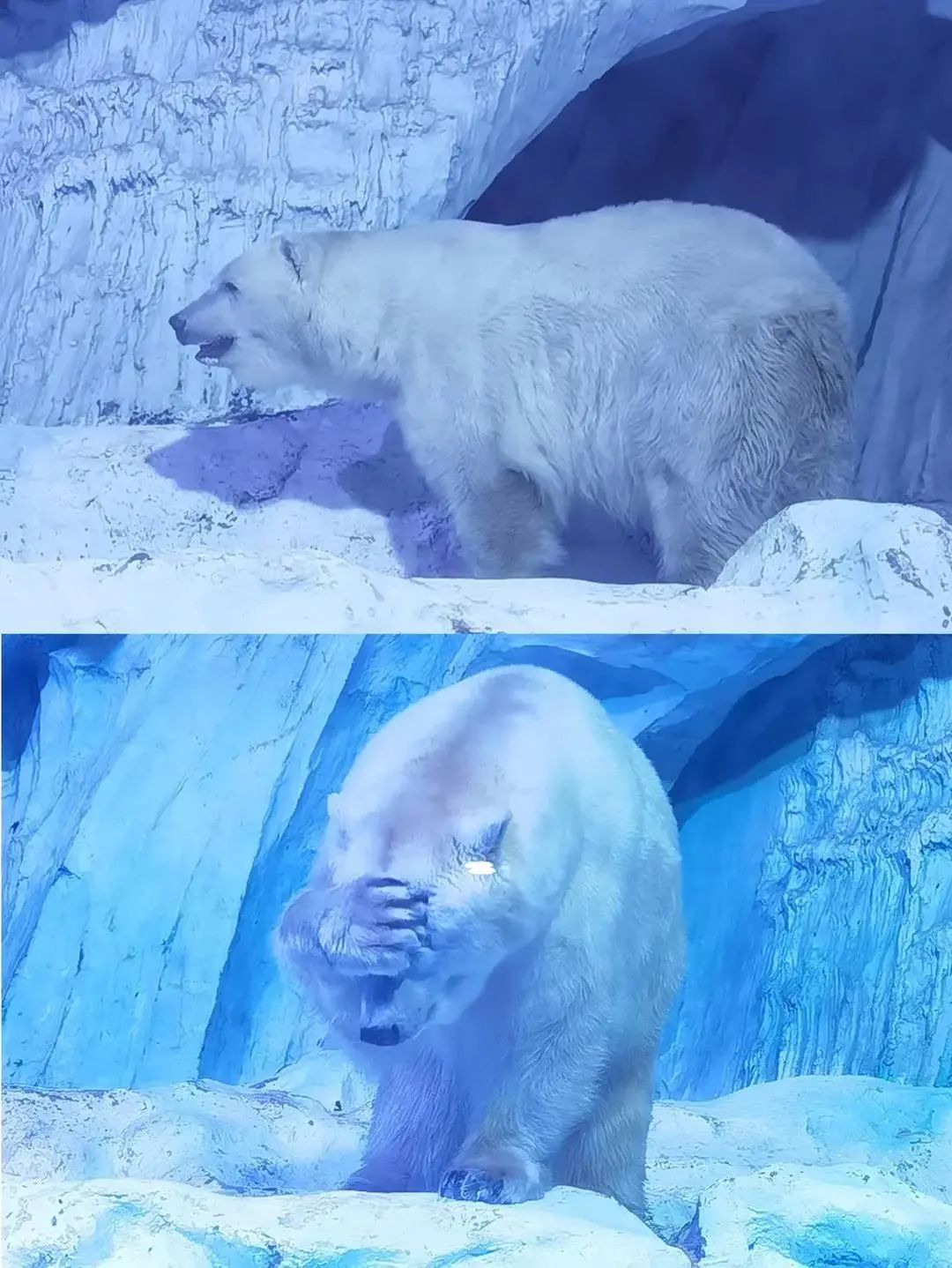 嗨游青岛享悦冬季|美妙的科创海洋之旅，解锁冬日遛娃新玩法！（文末福利）