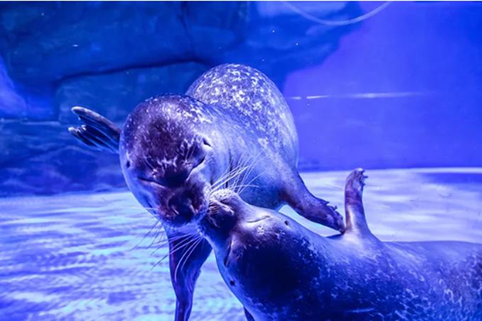 嗨游青岛享悦冬季|美妙的科创海洋之旅，解锁冬日遛娃新玩法！（文末福利）