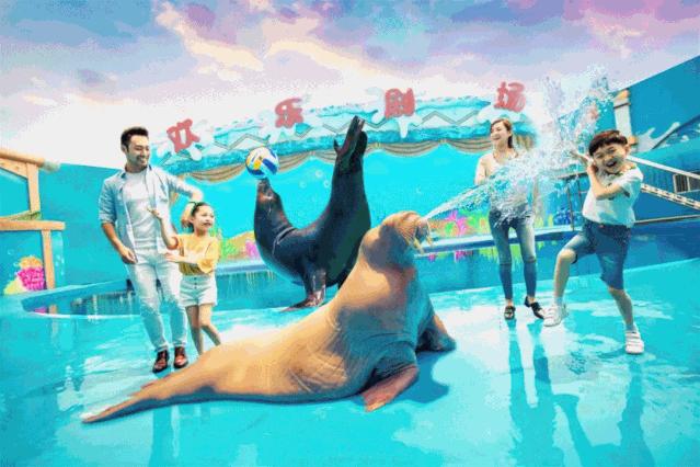 嗨游青岛享悦冬季|美妙的科创海洋之旅，解锁冬日遛娃新玩法！（文末福利）