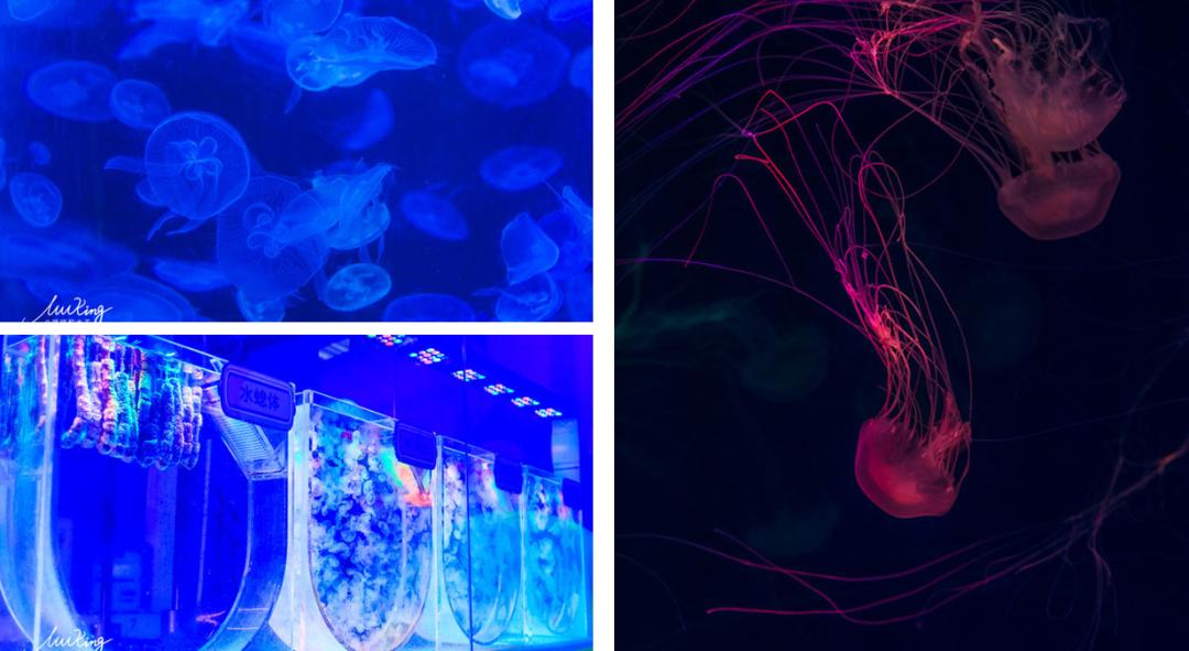 嗨游青岛享悦冬季|美妙的科创海洋之旅，解锁冬日遛娃新玩法！（文末福利）