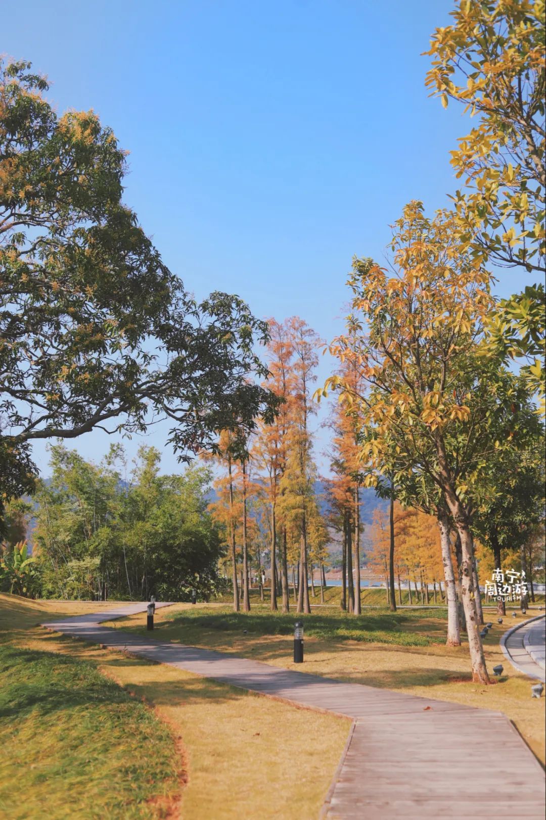 南宁适合一日游攻略,南宁免费玩的地方