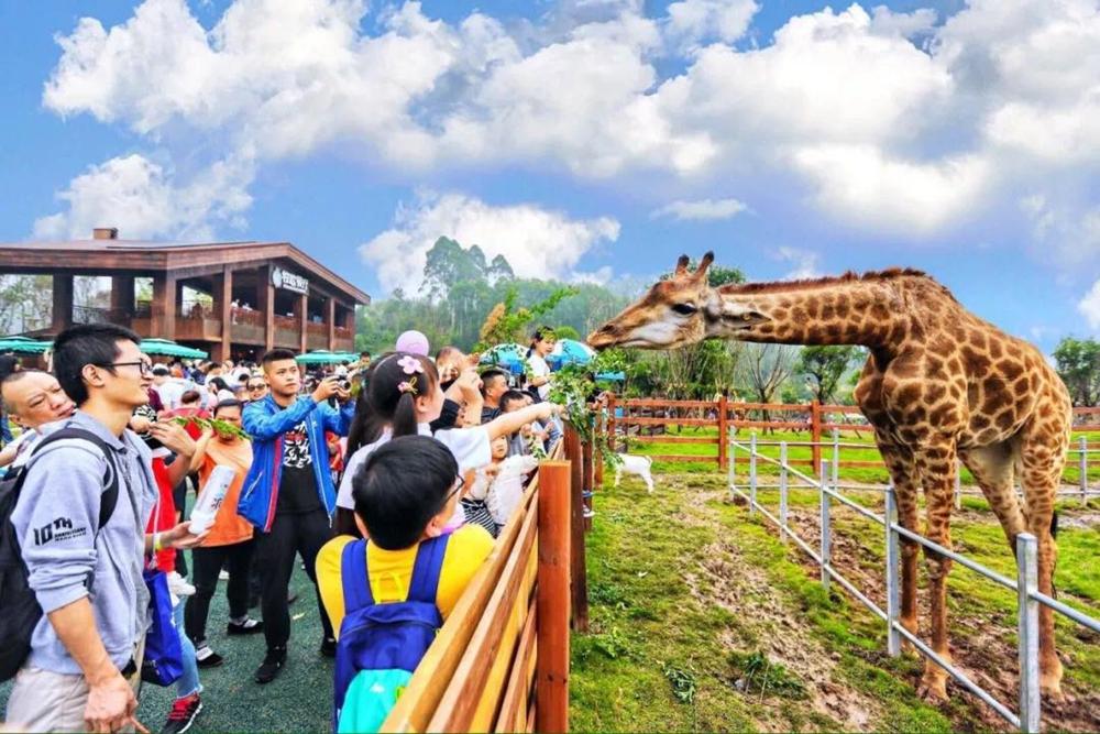 旅游心愿目的地，成都第二！2020这一年，谁能为成都旅游“代言”？