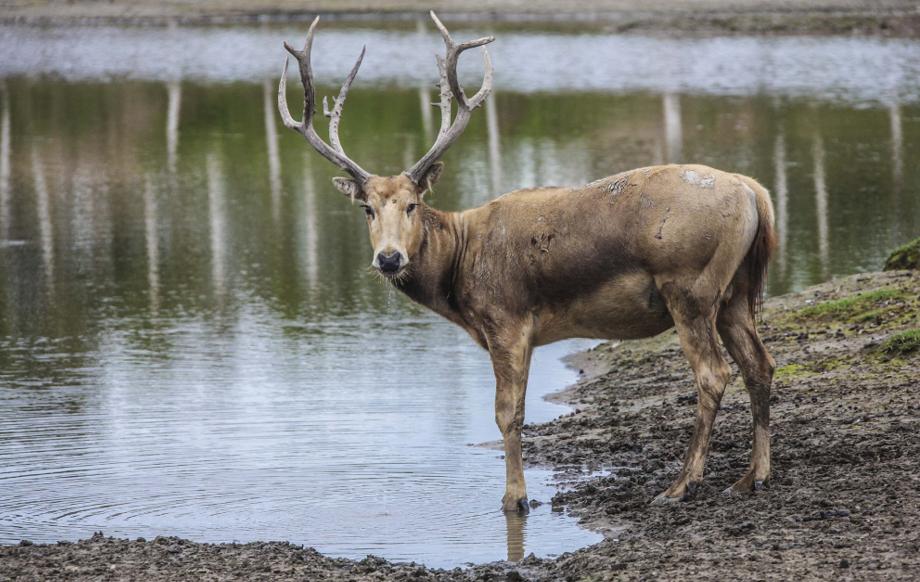 数九寒天今日始冬至,今日冬至冬已至你如约而至