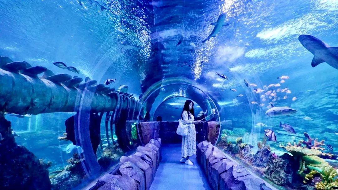 曲江也有星座？没错，是你2G了！