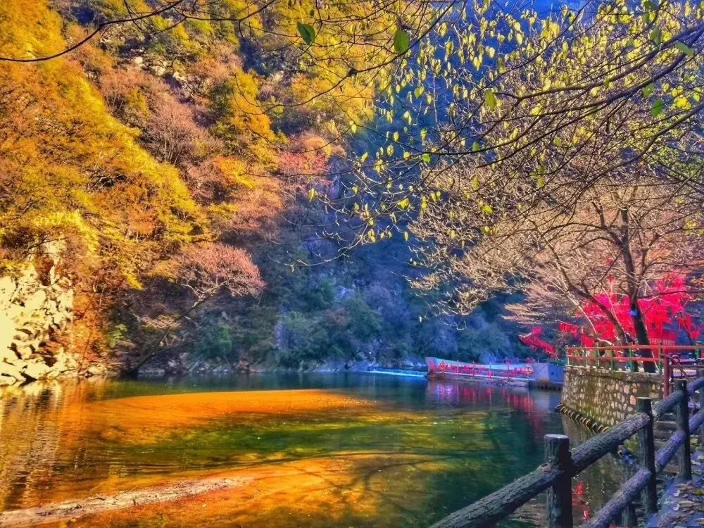 曲江也有星座？没错，是你2G了！