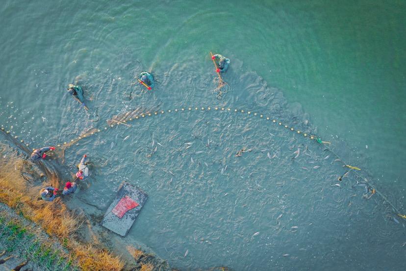 关于湖州市抗击新冠肺炎疫情先进个人和先进集体、湖州市优秀*产党共**员和先进基层*党**组织拟表彰对象的公示