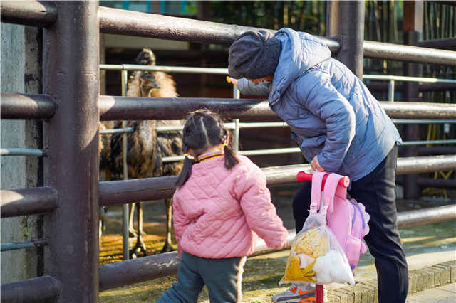 上海和平公园的动物们都走了吗,上海和平公园看动物