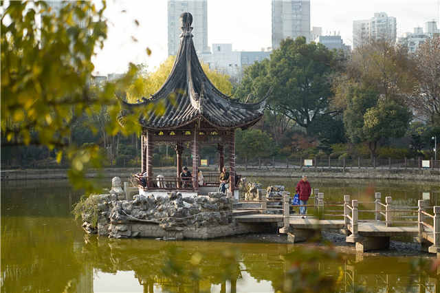 上海和平公园的动物们都走了吗,上海和平公园看动物