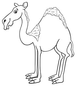 中东呼吸道综合征的传染方式,中东呼吸综合征和新型冠状病毒