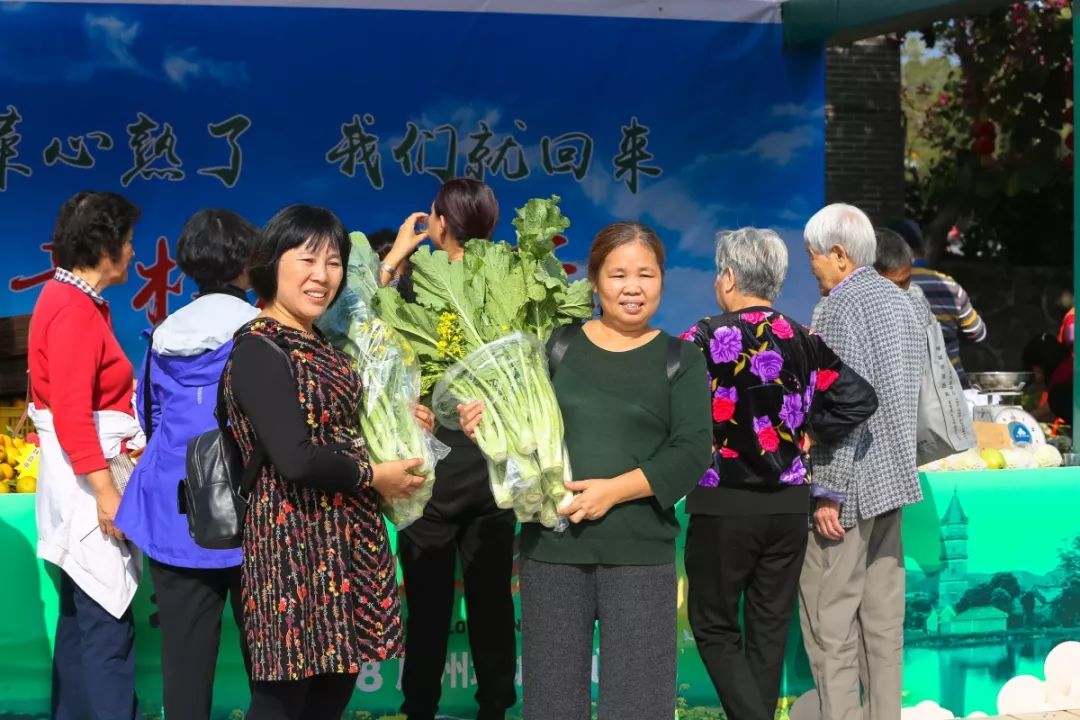 菜心美食节增城,2019广州增城菜心美食节开幕