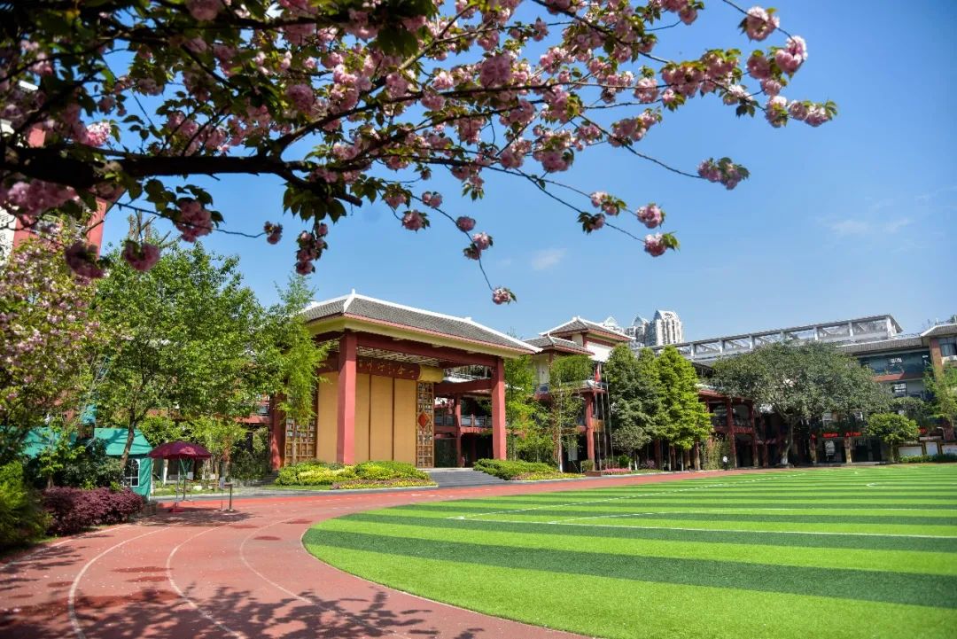 2019全国基础教育大会,成都中小学综合运动会开幕式