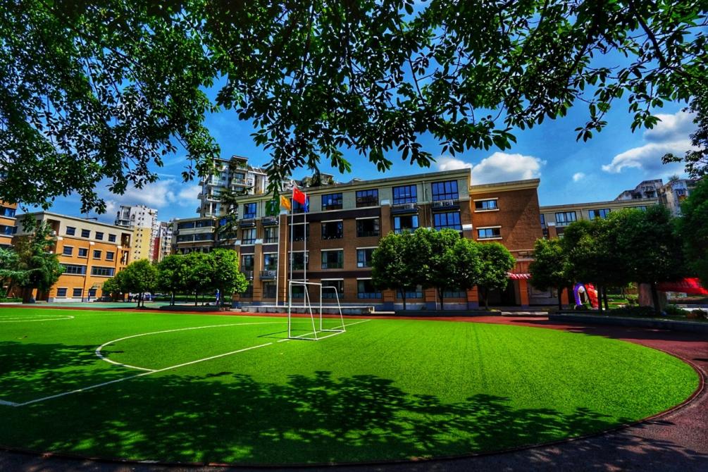 2019全国基础教育大会,成都中小学综合运动会开幕式