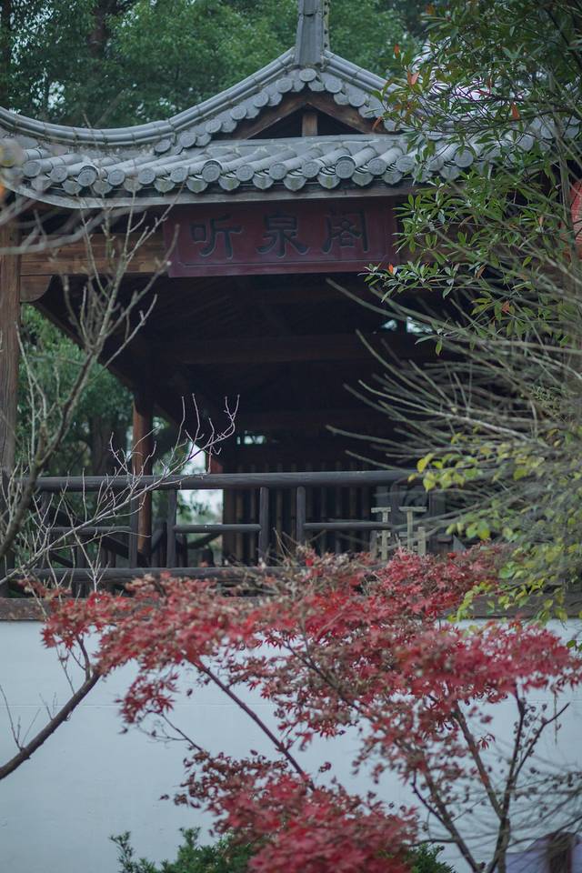 遇上60年最寒冷的冬天，泡进武义最温暖的温泉