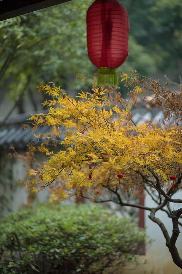 遇上60年最寒冷的冬天，泡进武义最温暖的温泉