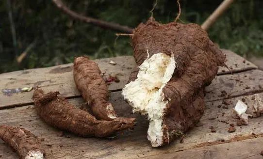 怎么丰胸安全又见效快不用吃药,丰胸除了按摩有什么方法