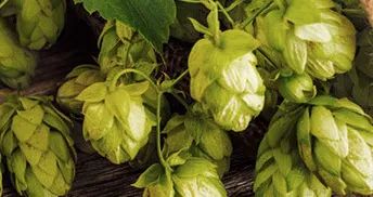 怎么丰胸安全又见效快不用吃药,丰胸除了按摩有什么方法