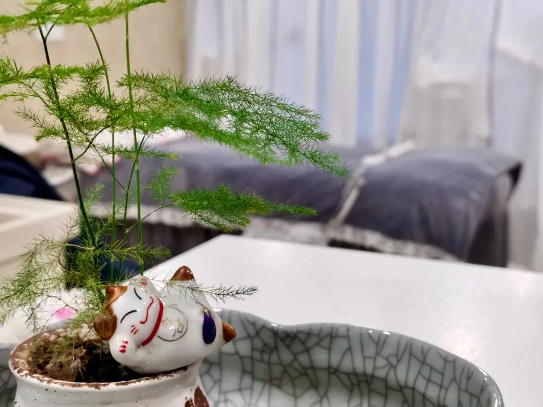 爽到飞起！扬州这家养生馆要被约爆！肩颈经络疏通、全身排湿排寒，谁来谁知道