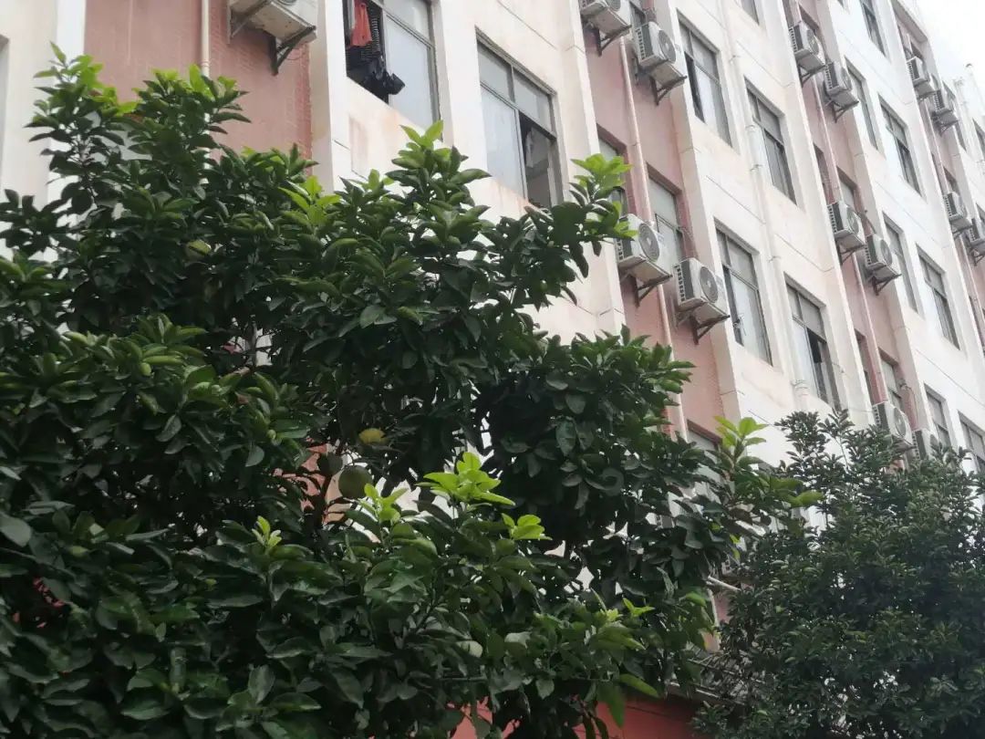 江西科技师范大学理工学院贴吧,再见了江西科技师范大学