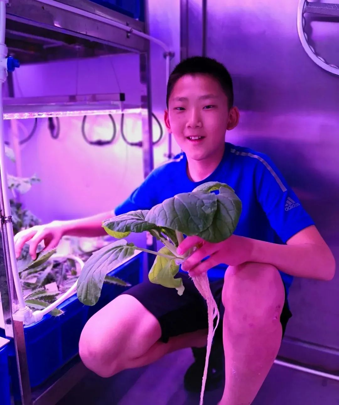 像嫦娥五号一样，去“月宫”挖土！这些学校的劳动课堂爱了爱了！