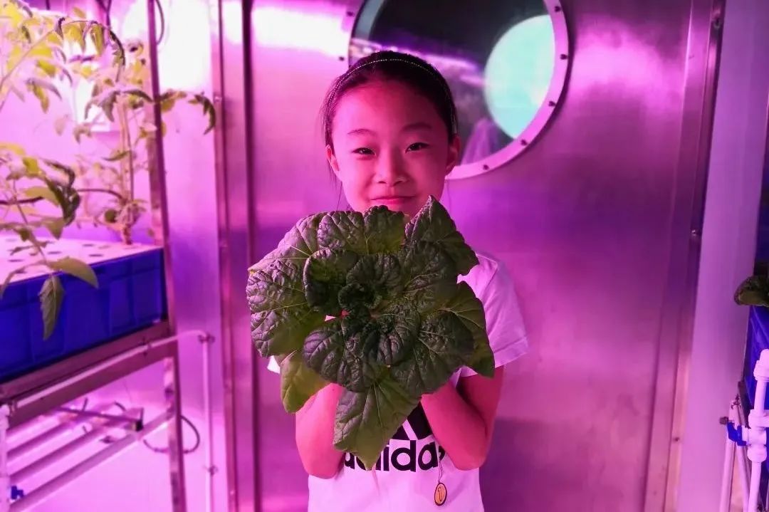 像嫦娥五号一样，去“月宫”挖土！这些学校的劳动课堂爱了爱了！