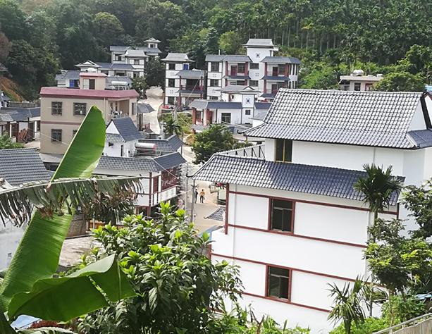 脱贫攻坚队长的脱贫故事,脱贫攻坚最新人物事迹