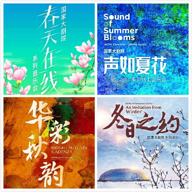 贝九最新消息,贝九2019