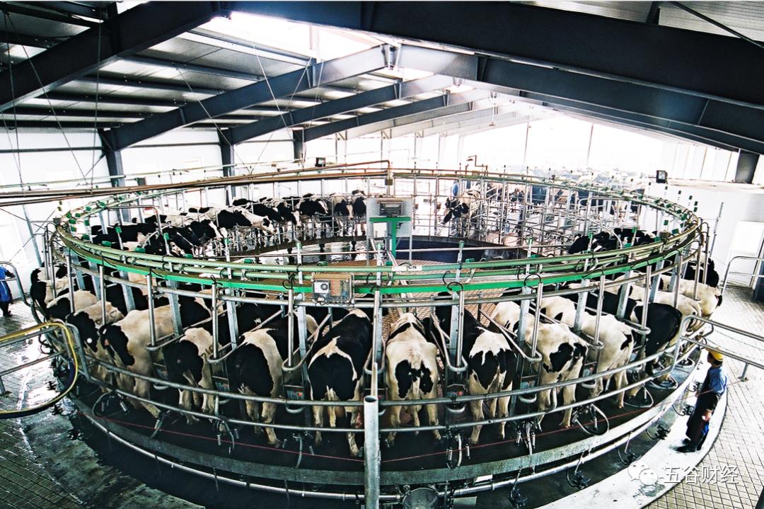 卫岗乳业质量问题,卫岗牛奶质量怎么样