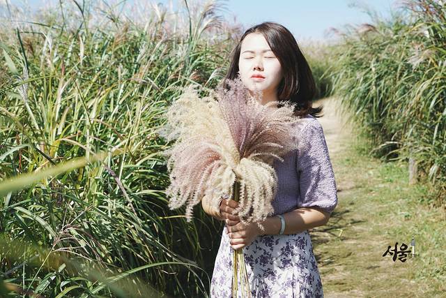 首尔秋天的天气,首尔青瓦台的秋天